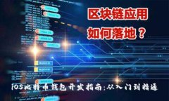 iOS比特币钱包开发指南：从入门到精通