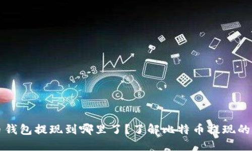 比特币钱包提现到哪里了？了解比特币提现的全过程