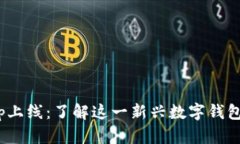 : tpwallethvp上线：了解这一新兴数字钱包的特点与