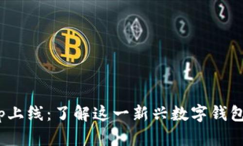 : tpwallethvp上线：了解这一新兴数字钱包的特点与优势