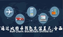 如何通过比特币钱包充值美元：全面指南