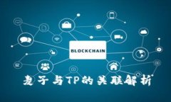 麦子与TP的关联解析