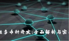 区块链多币种开发：全面解析与实用指南